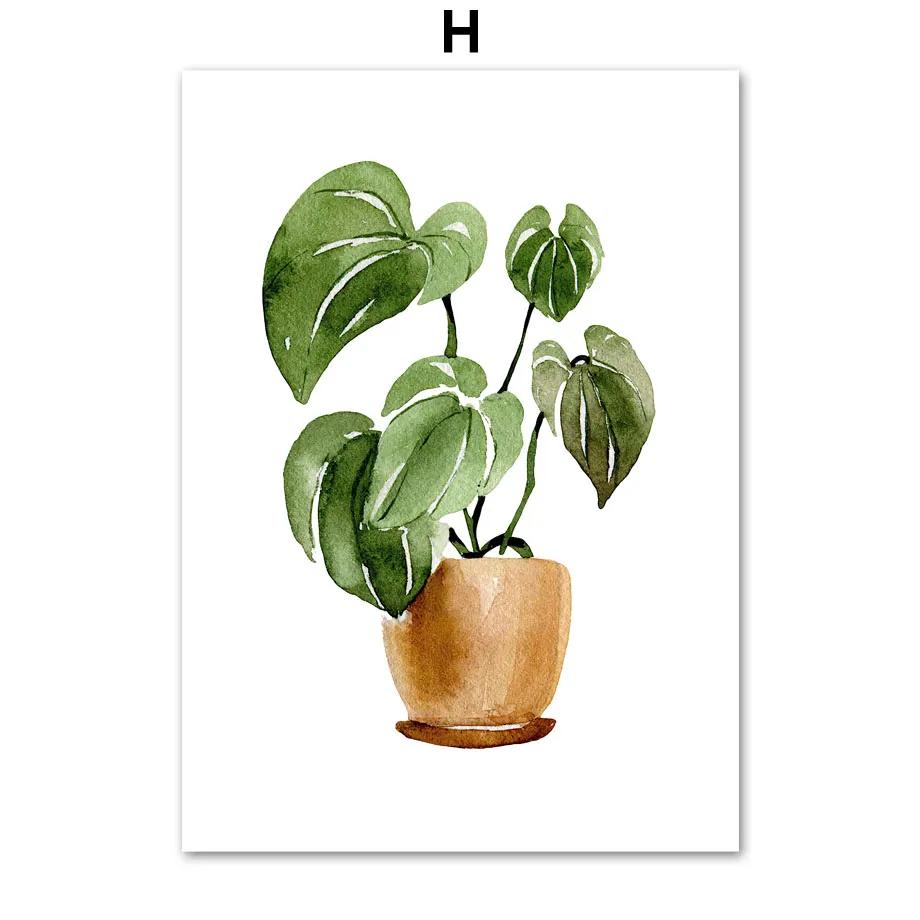 Cactus Tiger Pilan Monstera Green Plants Wall Art Canvas Painting Nordic Posters And Prints Wall Pictures For Living Room Decor