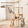 Space Capsule Cat Tree: Multi-Level Climbing Frame, Cozy Bed, and Jumping Platform.
