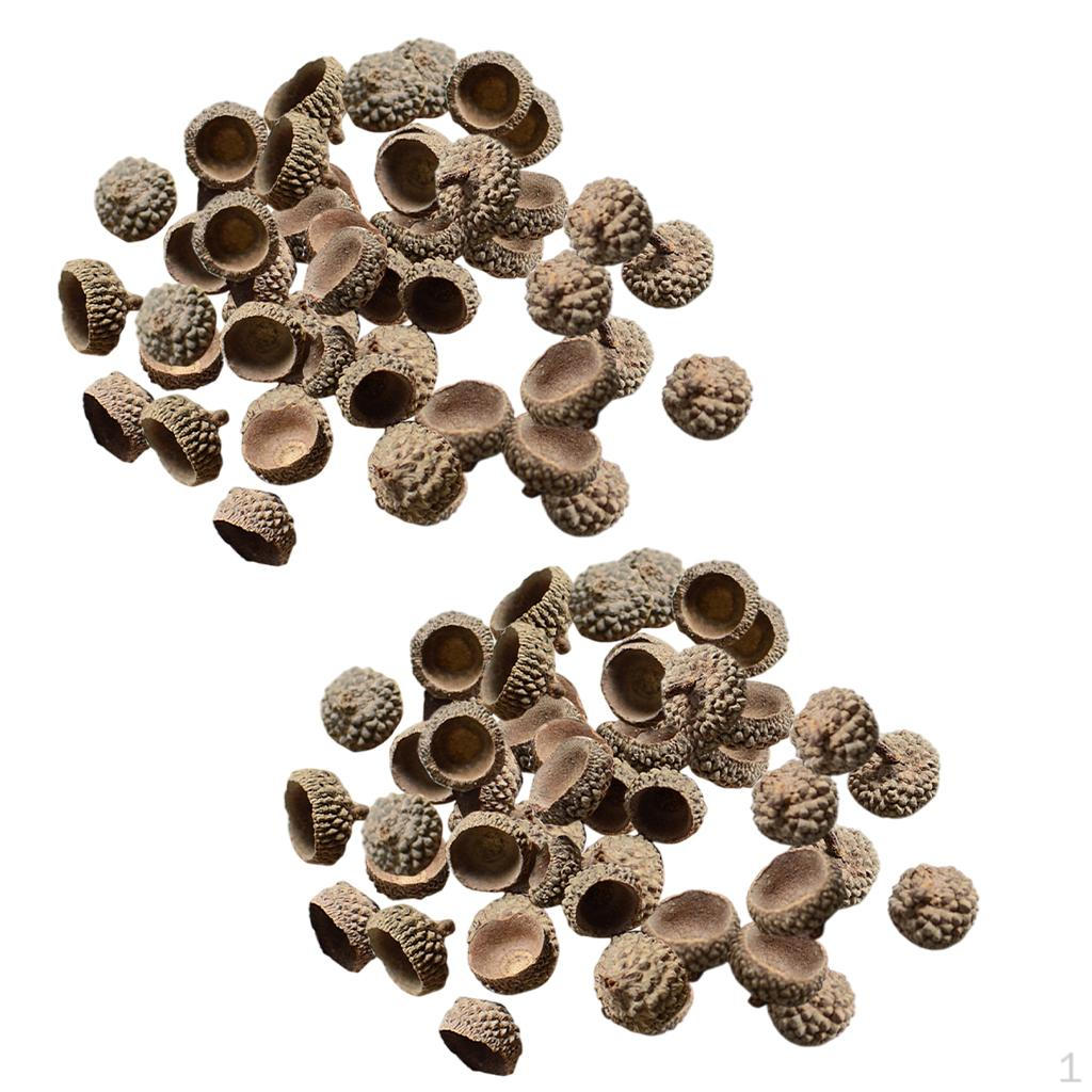 

200x Натуральные желуди оптом шляпки для свадебной цветочной композиции DIY Рождественский осенний стол