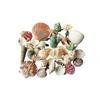 1pack Natural Shell Ornaments NIUNIU