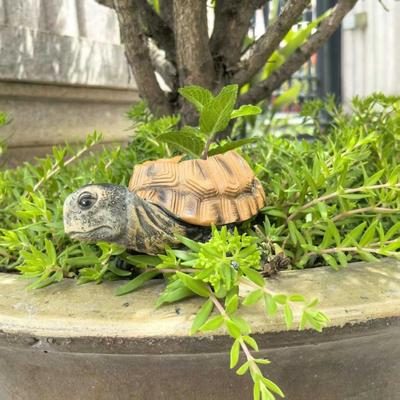 Cute Simulated Simulation Turtle Planter Creative Resin Turtle Flowerpot Mini Cartoon Animal Ornament Vase Outdoor