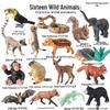 Mini Animal Growth Cycle Toys: Butterfly, Rooster, Ant, Frog, Sea Turtle, Dragonfly