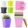 20 Stück/Set Süßigkeitenfarbe 7cm Quadratischer Mini-Blumentopf mit Untertasse Büro Schreibtisch Pflanzenzuchtbehälter Sukkulententopf Garten Baumschulen ZYF