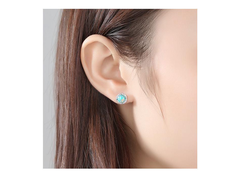 PAG&MAG S925 Silver Opal Zircon Fashion Earrings for Women