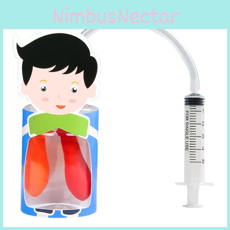 Kids Diy Physiology Model Of Lung Movement For Science Education And Handson Learning