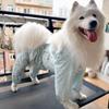 Roupa e sapatos – Impermeáveis para cães