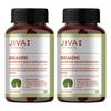 Jiva Brahmi Tabletten 500mg 120 Tabletten X 2er Pack für Geistiges Wohlbefinden und Stärkung des Nervensystems