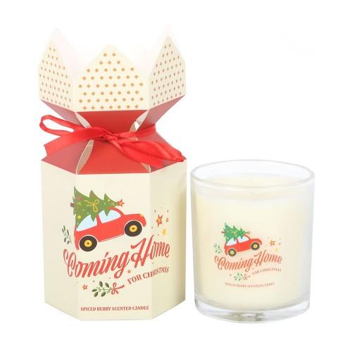 Something Different Coming Home for Christmas Spiced Berry Scented Candle