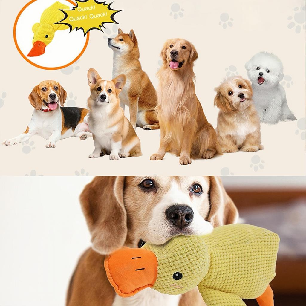 Gelbe Ente Hundespielzeug, Anti-Stress Enten-Hund, Leises Spielzeug Hunde-Kuscheltier, Interaktives Hundespielzeug Unzerstörbare Hundespielzeuge