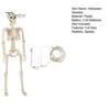 Cemetery Themed Landscaping 36 Inches LED Light Up Halloween Skeleton, 3FT Life Size Full Body Posable Skeleton Plastic Human Bones with Movable