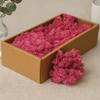 Reindeer Moss Pink 500g Preserved