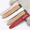 ZHUOLEI Swatch Watch Includes 3 Spring Spring Bar and Box Strap, 17mm/19mm, White, Bars, Remover,