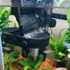 Aquarium Filter Baffle Water Flow Controller with Strong Suction Cups for Tropical Fish Tank Universal Fit Plastic Regulator