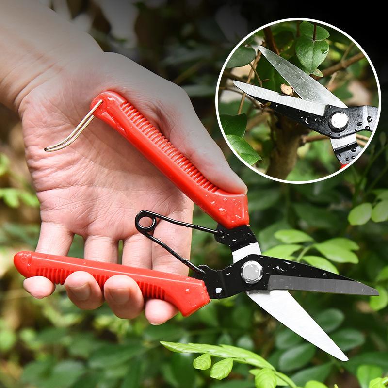 Stainless Steel Pruning Shears - Sharp Garden Scissors for Flower, Plant & Bonsai Trimming, Red Non-Slip Handle Gardening Tool