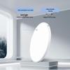 Dream Bubble Triple-Proof Ceiling Light