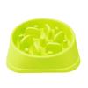 - And - Slow Food Feeding Bowl For Dogs And Cats