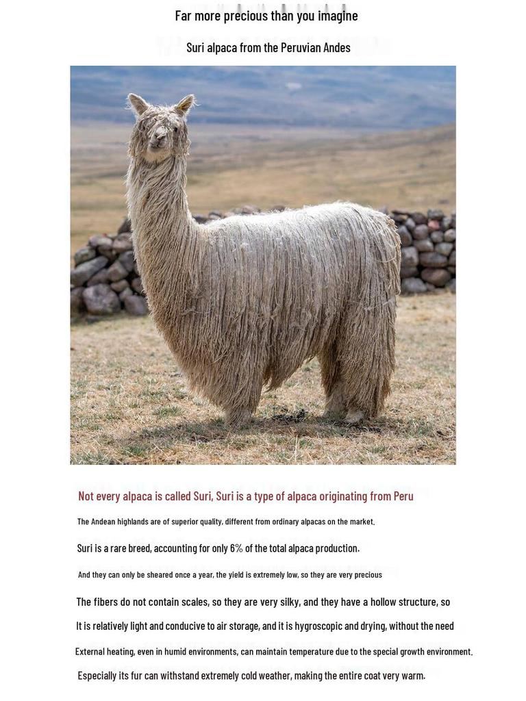 Women’s Versatile Mid-Length White Suri Alpaca Cashmere Wool Coat for Winter 2024