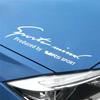 Car Front Headlight Eyebrow Decal Waterproof Sticker for Skoda VRS  Karoq Kodiaq Fabia Rapid Yeti Kamiq SCALA Enyaq Citigo
