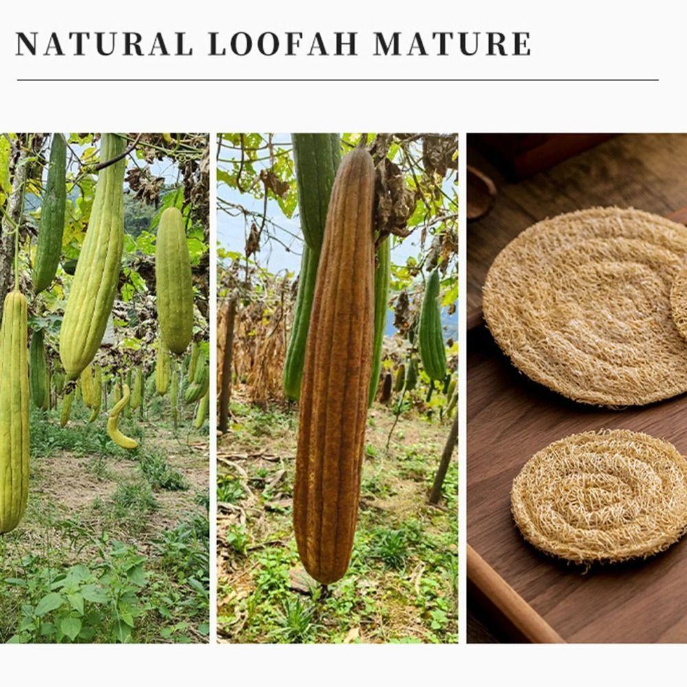 Natural Tea Cup Mat Round Loofah Mat Tea Set Accessories Teapot Pad  Teapot
