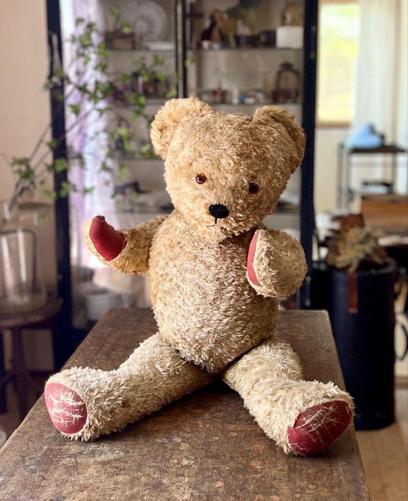 [USED] Vintage Teddy Bear, Antique, 50cm, Unmarked