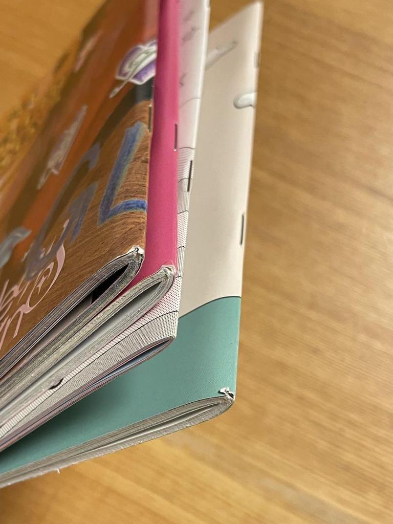 [USED] Newjeans Get Up BagVer Hani