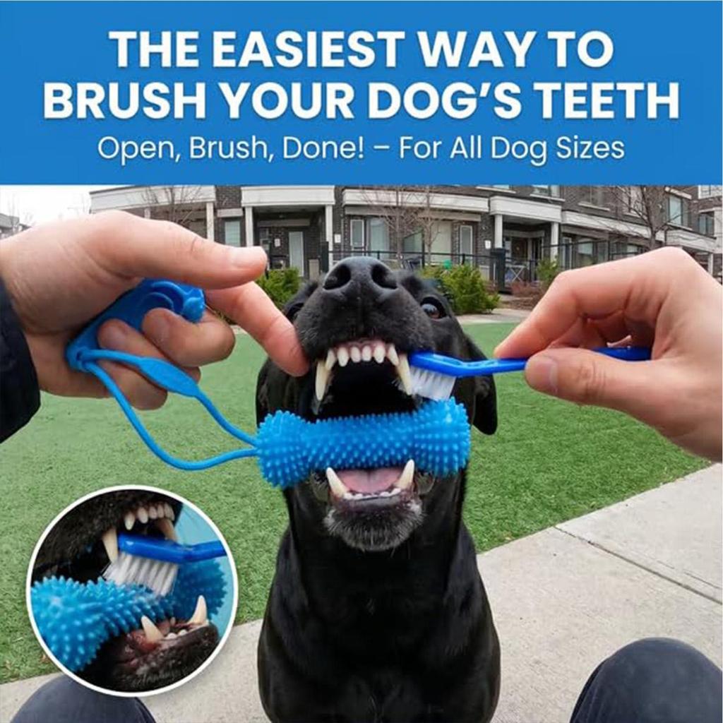 Dual-Action Canine Dental Prop Dog Dental Chew Toy for Teeth Cleaning Brushing Interactive Toys Dental Chews for Dogs Home Daily
