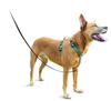 PetSafe 3-in-1 Dog Harness, Teal (Green), Size Medium