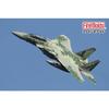 Fine Molds 1/72 Jet Aircraft Series, Japan Air Self-Defense Force F-15DJ Aggressor, Digital Camouflage, Green, Plastic Model, FK05 (Airplane)