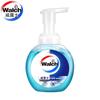 Foam Antibacterial Hand Soap 300ml