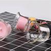 Clear Glass Oyster Tea Light Holders Candle Holders,2.5 Inch Hanging Votive Tealight Glass for Wedding,Birthday,Home Decoration