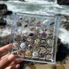 1 Pcs Acrylic Magnetic Seashell Display Box Seashell Display Box Storage Box Small Craft Organizers Compartment