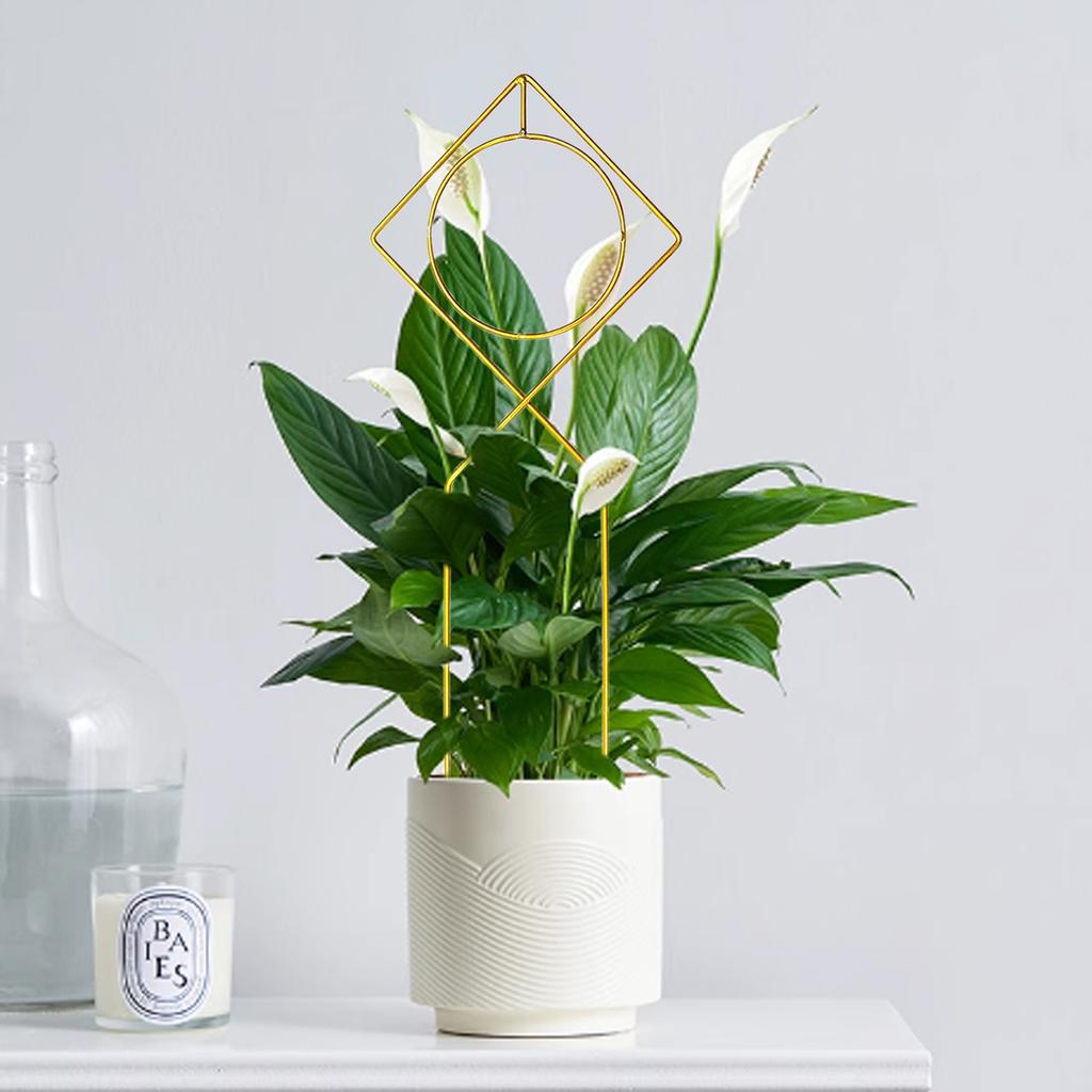 2pcs Iron Garden Trellis 22x44cm Plant Climbing Frame for Vines Potted Plant Support Stand