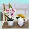 Butterfly Orchid Faux Plant With Realistic Craftsmanship For Bridal Events And Living Room Decor