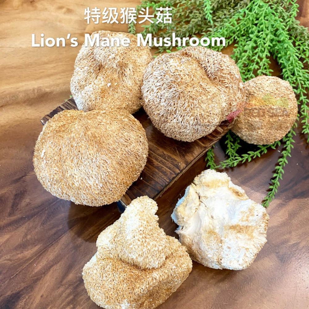 Premium Dried Lion's Mane Mushroom Hericium Erinsceus 250g