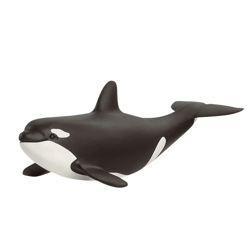 Realistic Sea Life Pvc Model Collection Including Whales Dolphins Sharks And Sea Lions