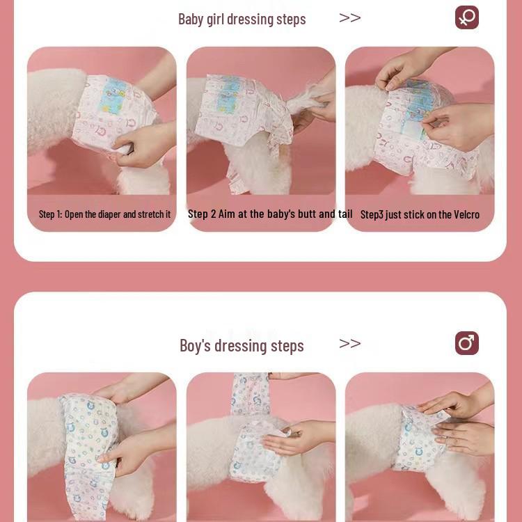 Bichon Frise & Teddy Dog Menstrual Diapers: Protective Pants for Puppies