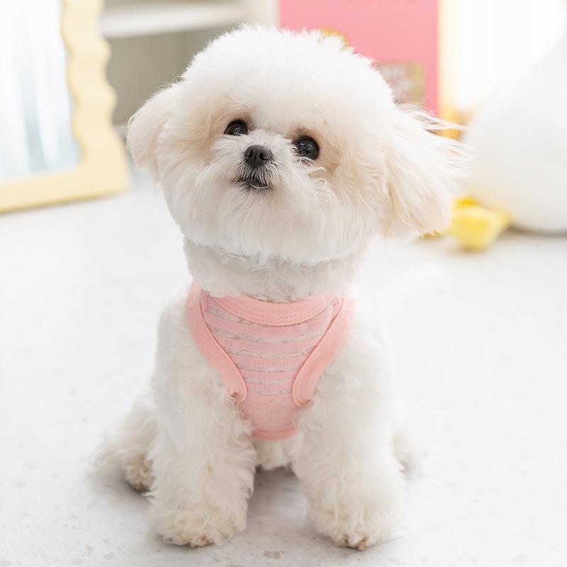 Pet breathable light hollow striped bear can be towed cat teddy bear spring and summer bipod dog clothes