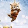 Cats Keychain Cute Cats Keychains Judo Kittens Keyring 2D Flat AcrylicCharm Funny Keychain for Women Girl