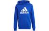 Kids Sweatshirts Hooded Moderate IC6834