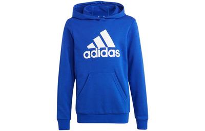 Kids Sweatshirts Hooded Moderate IC6834