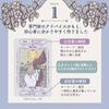 Animal Tarot for Tarot Fortune Waite with Instruction Cards Beginners, Cards, Telling, Edition, Tarot, (Full Deck)