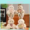 Cute Plaid Dress Cartoon Rabbit Plush Toy For Children