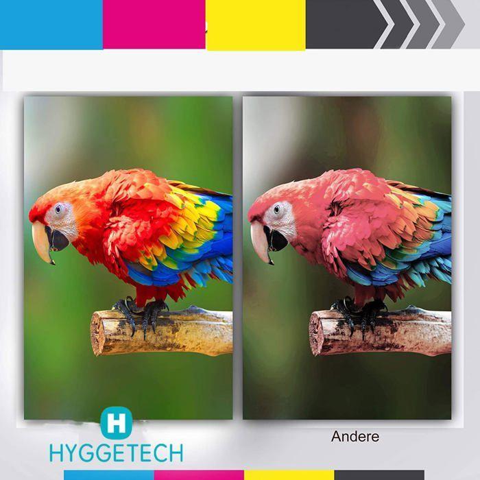 Cartouches d'Encre Compatibles - LASER GENETICS CARRON - 34XL - 10 pièces - 1100 pages noir - Multi-couleurs