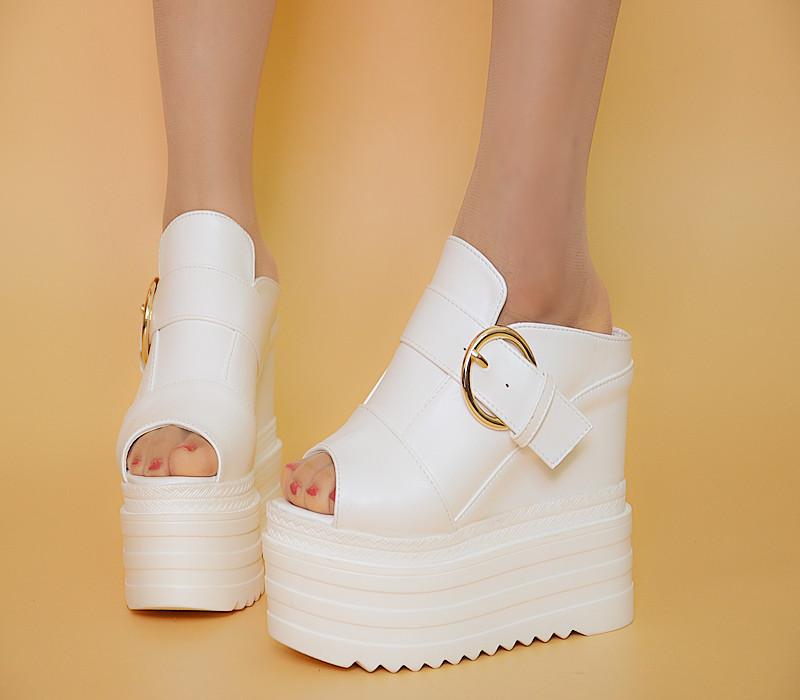 Fashion 13CM Super High Heel Women's Slippers Europe and America Nightclub Wedges Slippers Muffin Thick Sandals and Slippers