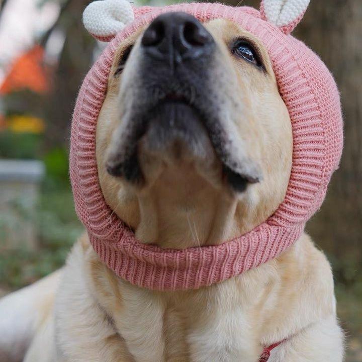 Winter Pet Hat for Medium-Large Dogs: Cute, Warm Cartoon Headwear for Labradors & Golden Retrievers