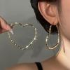 Chic Minimalist Twisted Round Hoop Earrings for Women - Elegant European & American Style