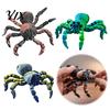 Bewegliche Beine Spinne Figur 3D Gedrucktes Fidget Spielzeug mit Augen, Große Gelenkige Figur Flexible Gelenke Modell Gelenke, Halloween Realistisches Schreibtisch