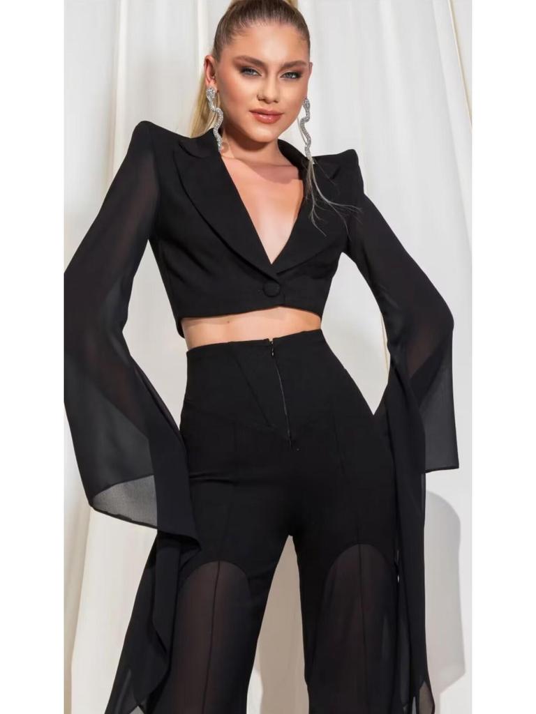 Women's Sheer Wide-Leg Blazer Set