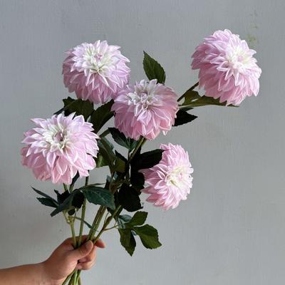 Long Branch 3D-gedruckte Dahlie Realistischer Echter Berührungs-Künstlicher Dahlienast Große Blüte Falscher Hochzeits-Blumenschmuck Schlafzimmer-Dekoration