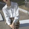 Women's Elegant Long-Sleeve Chiffon Shirt - Spring/Summer Fashion